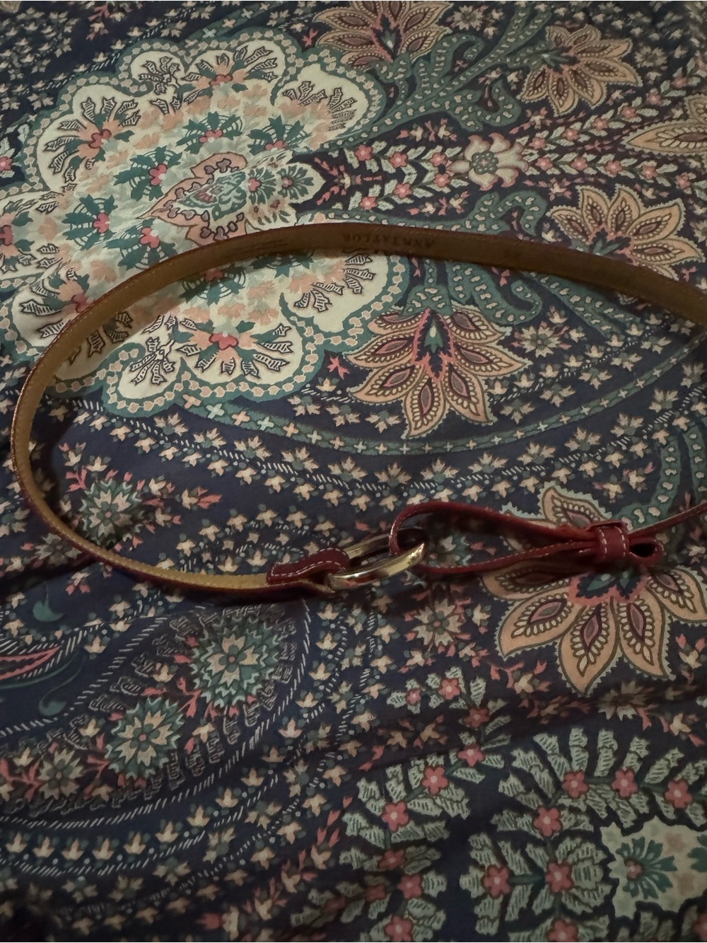 Ann Taylor Brown Skinny Belt with Red Knot Accent